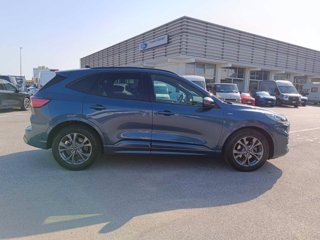 FORD Kuga 2.0 EcoBlue Hybrid 150 CV 2WD ST-Line