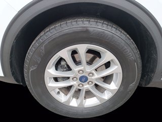 FORD Kuga 1.5 EcoBlue 120 CV 2WD Titanium Business