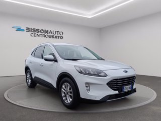 FORD Kuga 1.5 EcoBlue 120 CV 2WD Titanium Business