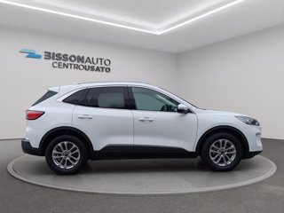 FORD Kuga 1.5 EcoBlue 120 CV 2WD Titanium Business