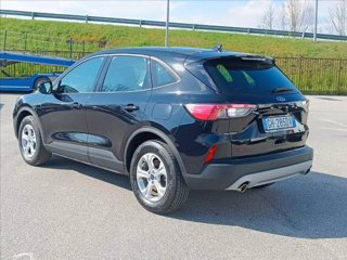 FORD Kuga 1.5 EcoBoost 120 CV 2WD Connect