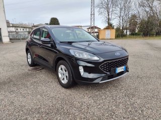 FORD Kuga 1.5 EcoBlue 120 CV 2WD Connect