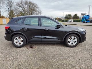 FORD Kuga 1.5 EcoBlue 120 CV 2WD Connect