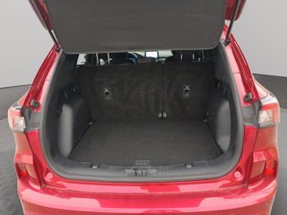 FORD Kuga 1.5 EcoBlue 120 CV 2WD ST-Line