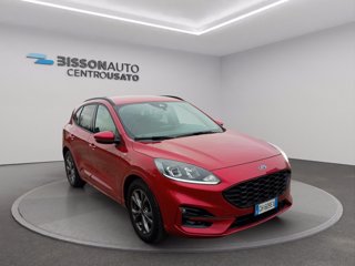 FORD Kuga 1.5 EcoBlue 120 CV 2WD ST-Line