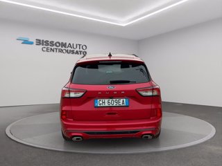 FORD Kuga 1.5 EcoBlue 120 CV 2WD ST-Line