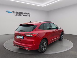 FORD Kuga 1.5 EcoBlue 120 CV 2WD ST-Line