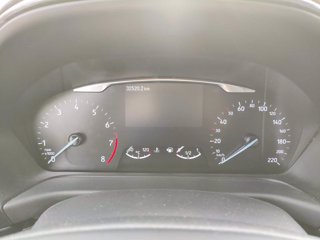 FORD Puma 1.0 EcoBoost Hybrid 125 CV S&S Titanium