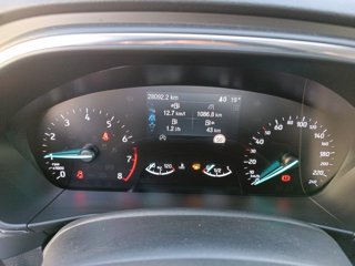 FORD Focus 1.0 EcoBoost 125 CV 5p. Active