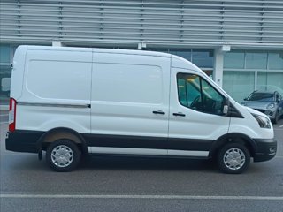 FORD Transit V363 TA Van Trd 130cv MHEV 290 L2H2
