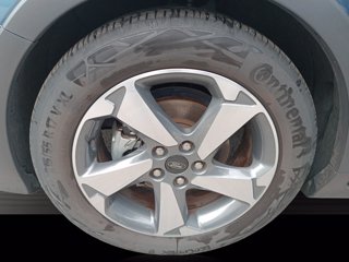 FORD Focus Active 1.0 ecoboost s&s 125cv