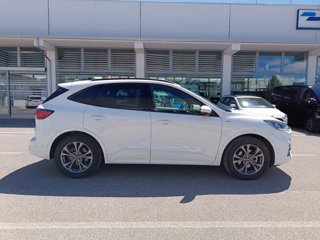 FORD Kuga 1.5 ecoblue ST-Line 2wd 120cv