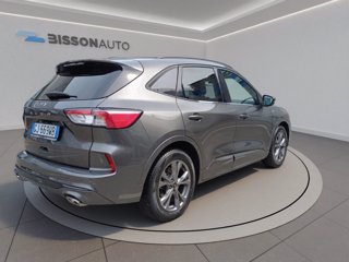 FORD Kuga 1.5 ecoblue ST-Line 2wd 120cv