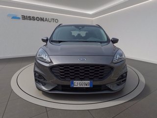 FORD Kuga 1.5 ecoblue ST-Line 2wd 120cv