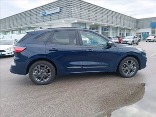 FORD Kuga 2.5 full hybrid ST-Line 2wd 190cv cvt