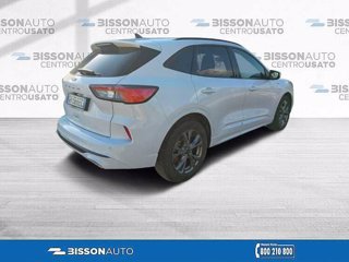 FORD Kuga 1.5 ecoblue ST-Line 2wd 120cv