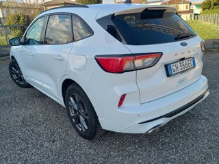 FORD Kuga 1.5 ecoblue ST-Line 2wd 120cv