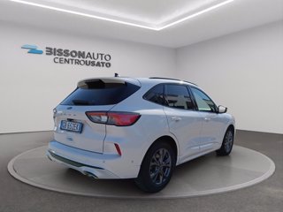 FORD Kuga 1.5 ecoblue ST-Line 2wd 120cv auto
