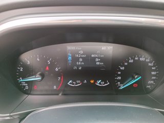 FORD Focus Active 1.0 ecoboost s&s 125cv