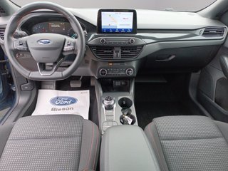 FORD Focus SW 1.0 ecoboost ST-Line 125cv auto