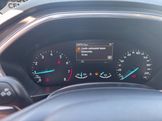 FORD Focus Active 1.0t ecoboost h 125cv