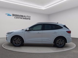 FORD Kuga 1.5 ecoblue ST-Line X 2wd 120cv auto