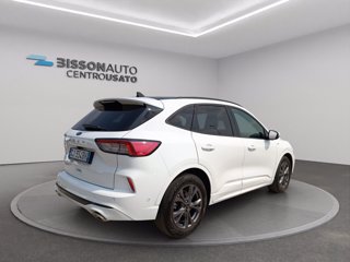 FORD Kuga 1.5 ecoblue ST-Line X 2wd 120cv auto