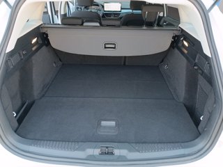 FORD Focus active sw 1.5 ecoblue 115cv auto