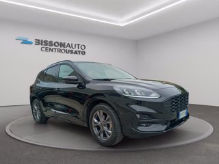 FORD Kuga 2.0 ecoblue st-line 2wd 120cv auto