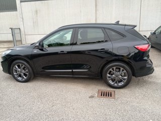 FORD Kuga 2.0 ecoblue st-line 2wd 120cv auto