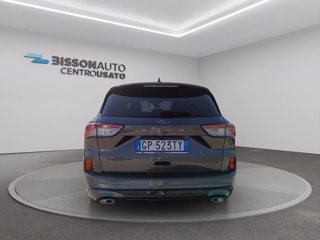 FORD Kuga 1.5 ecoboost st-line 2wd 150cv