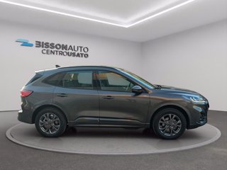 FORD Kuga 2.5 phev st-line 2wd 225cv cvt
