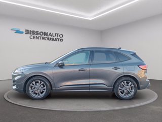 FORD Kuga 1.5 ecoblue st-line 2wd 120cv