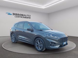 FORD Kuga 1.5 ecoblue st-line 2wd 120cv