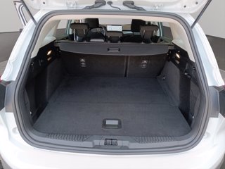 FORD Focus active sw 1.5 ecoblue 120cv