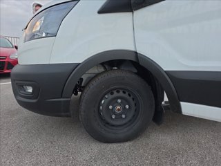 FORD Transit 350 2.0 tdci HDT 155cv trend L2 Lamberet