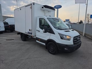 FORD Transit 350 2.0 tdci HDT 155cv trend L2 Lamberet