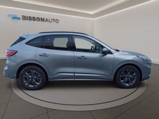 FORD Kuga 1.5 ecoblue st-line 2wd 120cv