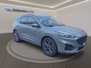 FORD Kuga 1.5 ecoblue st-line 2wd 120cv