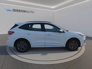 FORD Kuga 2.0 ecoblue st-line 2wd 120cv auto