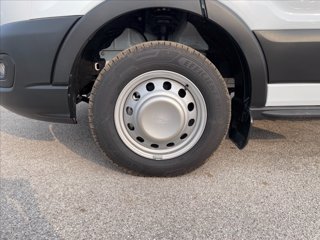 FORD Transit 350 tr.post. 2.0 tdci 130cv trend L3 Scattolini cassone fisso r.gem.