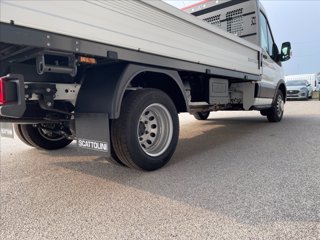 FORD Transit 350 tr.post. 2.0 tdci 130cv trend L3 Scattolini cassone fisso r.gem.