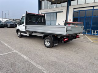 FORD Transit 350 tr.post. 2.0 tdci 130cv trend L3 Scattolini cassone fisso r.gem.