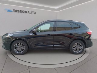 FORD Kuga 2.0 ecoblue st-line x 2wd 120cv auto