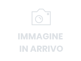 N1 480