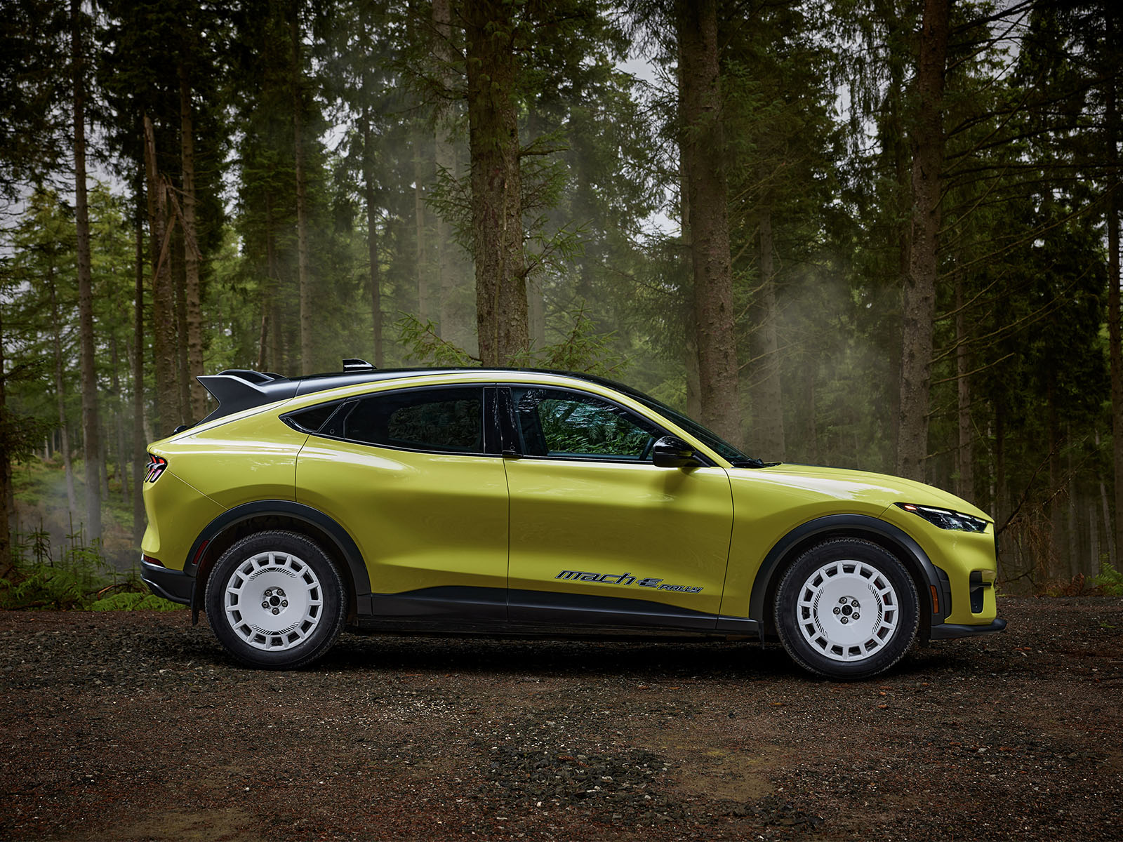 Mustang Mach E Rally Edition Auto Elettrica Da Rally 2