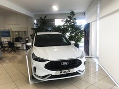 Imm Gooogle Arzignano Bisson Auto 4