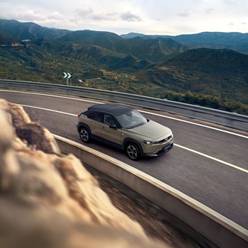 900 900 Gallery Cropped Images01