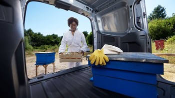 Bissonauto Ford Transit Courier Nuovo Gamma 1