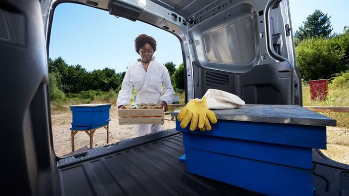 Bissonauto Ford Transit Courier Nuovo Gamma 1